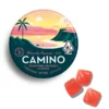 Buy Camino Watermelon Lemonade Gummies Online - Hybrid