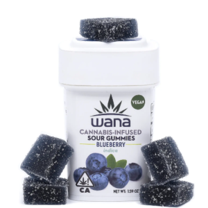 Blueberry Indica Sour Gummies 100mg 10-pack